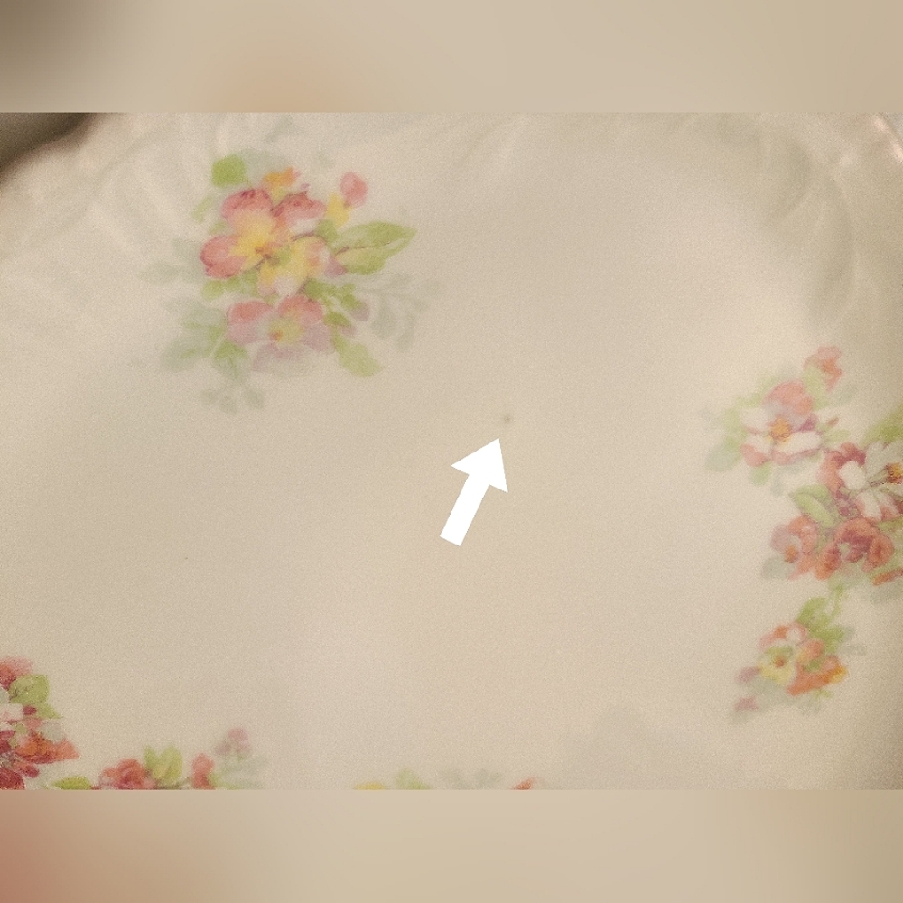 Jean Pouyat Limoges Early 1900's French Hand-painted Floral Print Oblong Platter - Picture 10 of 11